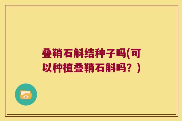 叠鞘石斛结种子吗(可以种植叠鞘石斛吗？)