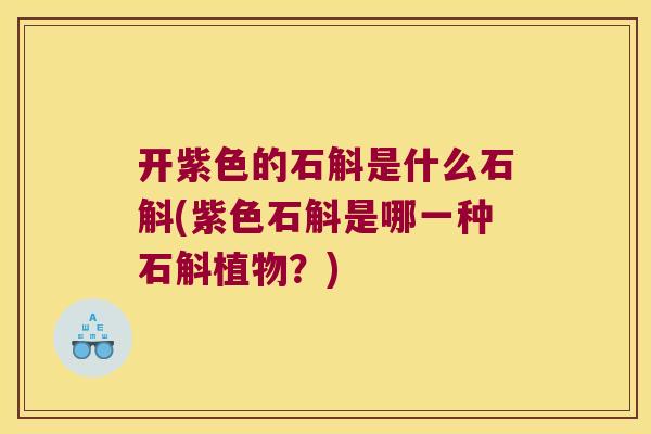 开紫色的石斛是什么石斛(紫色石斛是哪一种石斛植物?) 开紫色的石斛是什么石斛(紫色石斛是哪一种石斛植物?)