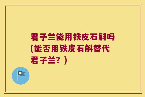 君子兰能用铁皮石斛吗(能否用铁皮石斛替代君子兰？)