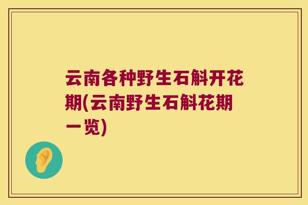 云南各种野生石斛开花期(云南野生石斛花期一览)
