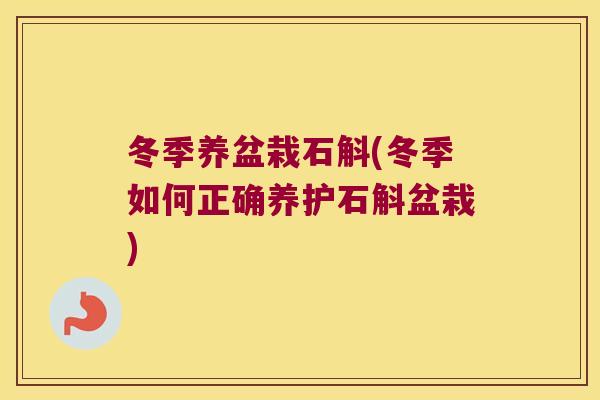 冬季养盆栽石斛(冬季如何正确养护石斛盆栽)