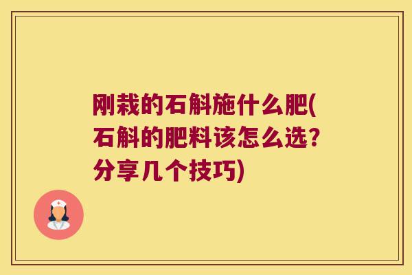 刚栽的石斛施什么肥(石斛的肥料该怎么选?分享几个技巧) 刚栽的石斛施什么肥(石斛的肥料该怎么选?分享几个技巧)