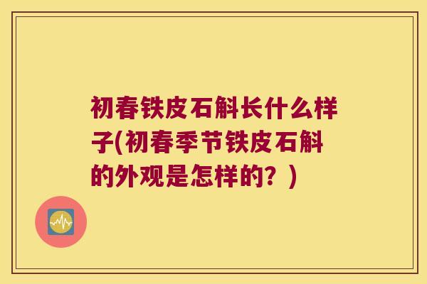 初春铁皮石斛长什么样子(初春季节铁皮石斛的外观是怎样的？)
