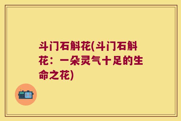 斗门石斛花(斗门石斛花：一朵灵气十足的生命之花)