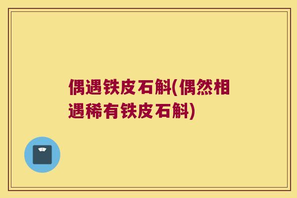 偶遇铁皮石斛(偶然相遇稀有铁皮石斛) 偶遇铁皮石斛(偶然相遇稀有铁皮石斛)