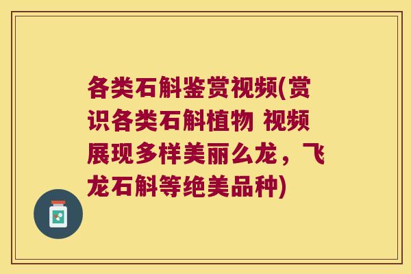 各类石斛鉴赏视频(赏识各类石斛植物 视频展现多样美丽么龙，飞龙石斛等绝美品种)