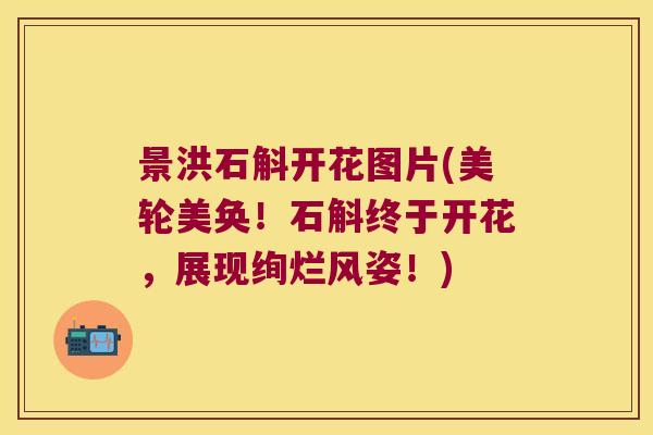 景洪石斛开花图片(美轮美奂！石斛终于开花，展现绚烂风姿！)