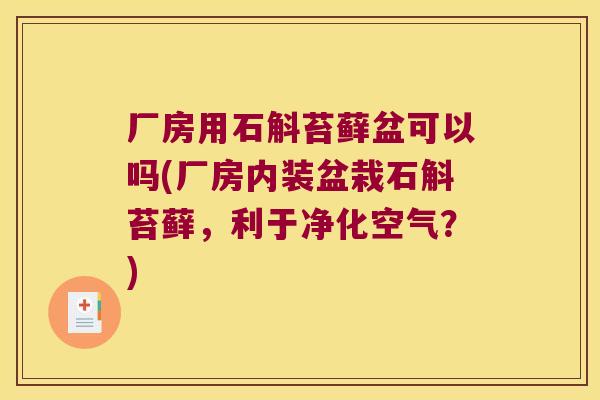 厂房用石斛苔藓盆可以吗(厂房内装盆栽石斛苔藓，利于净化空气？)