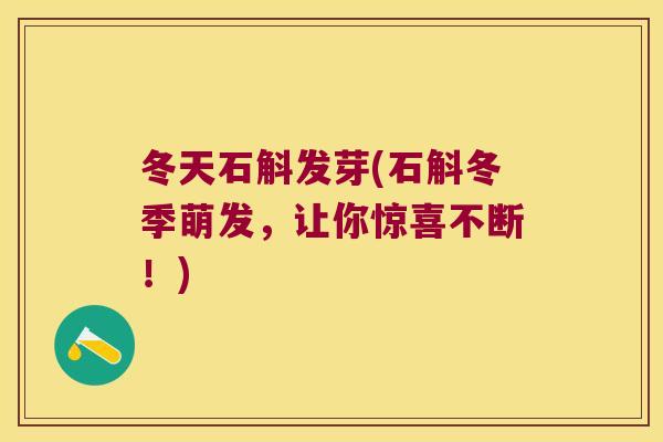 冬天石斛发芽(石斛冬季萌发，让你惊喜不断！)