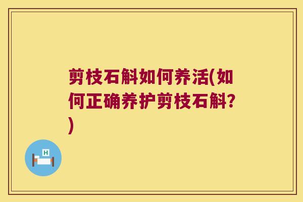 剪枝石斛如何养活(如何正确养护剪枝石斛？)