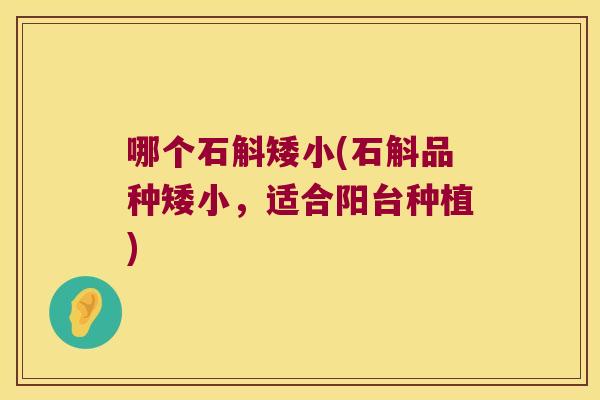 哪个石斛矮小(石斛品种矮小,适合阳台种植) 哪个石斛矮小(石斛品种矮小,适合阳台种植)