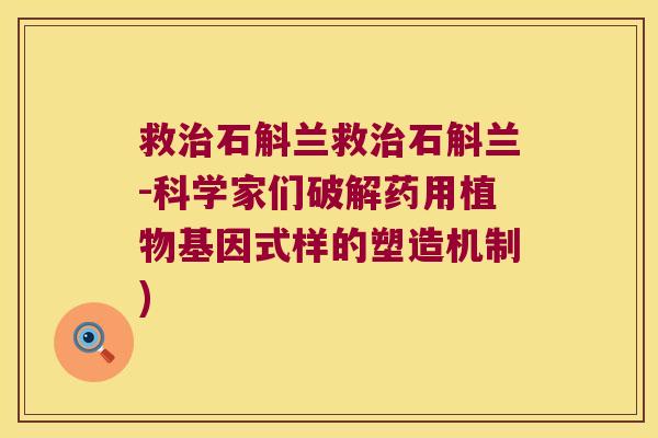 救石斛兰救石斛兰-科学家们破解药用植物基因式样的塑造机制)
