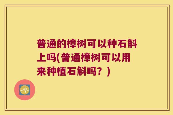 普通的樟树可以种石斛上吗(普通樟树可以用来种植石斛吗？)