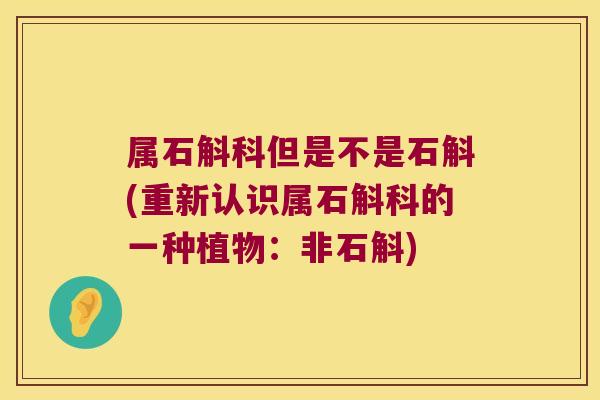 属石斛科但是不是石斛(重新认识属石斛科的一种植物：非石斛)