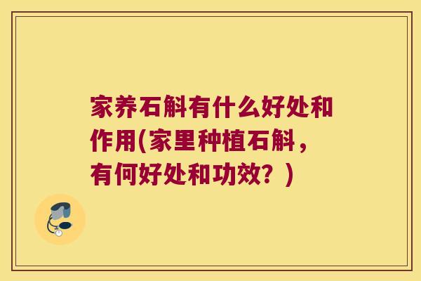 家养石斛有什么好处和作用(家里种植石斛，有何好处和功效？)