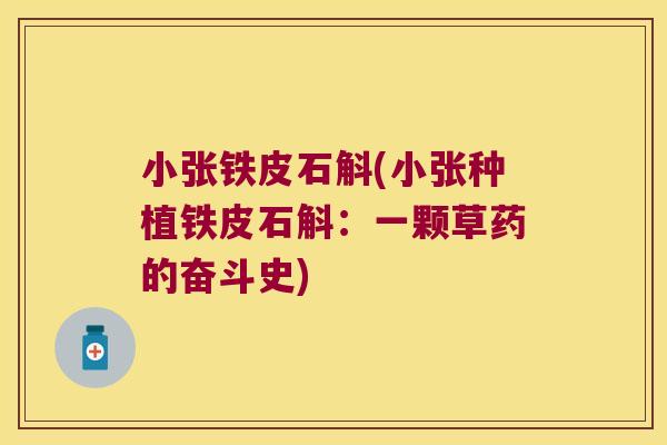 小张铁皮石斛(小张种植铁皮石斛：一颗草药的奋斗史)