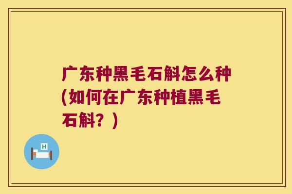 广东种黑毛石斛怎么种(如何在广东种植黑毛石斛？)