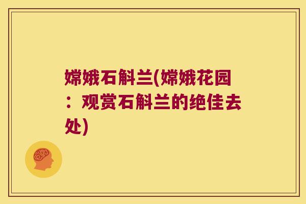 嫦娥石斛兰(嫦娥花园：观赏石斛兰的绝佳去处)