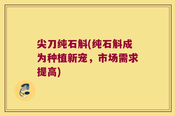 尖刀纯石斛(纯石斛成为种植新宠，市场需求提高)