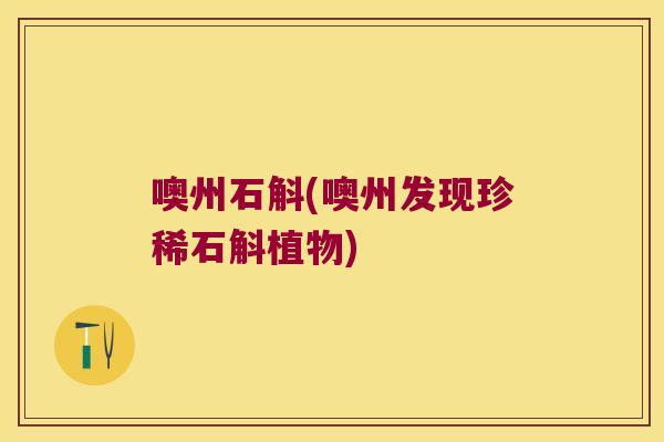 噢州石斛(噢州发现珍稀石斛植物)