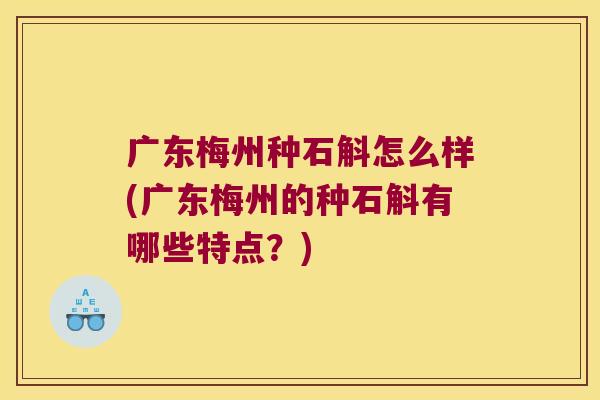 广东梅州种石斛怎么样(广东梅州的种石斛有哪些特点？)