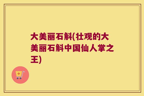 大美丽石斛(壮观的大美丽石斛中国仙人掌之王)