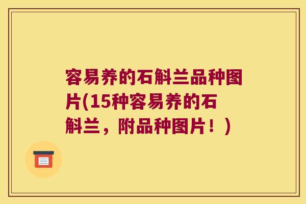 容易养的石斛兰品种图片(15种容易养的石斛兰，附品种图片！)