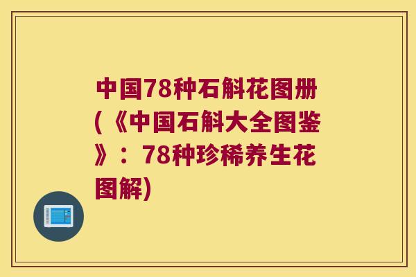 中国78种石斛花图册(《中国石斛大全图鉴》：78种珍稀养生花图解)