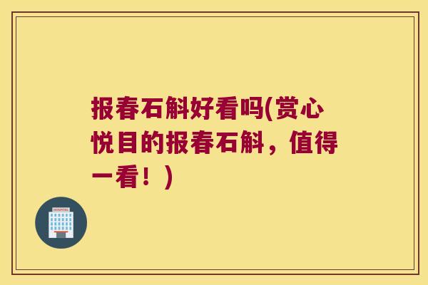 报春石斛好看吗(赏心悦目的报春石斛，值得一看！)