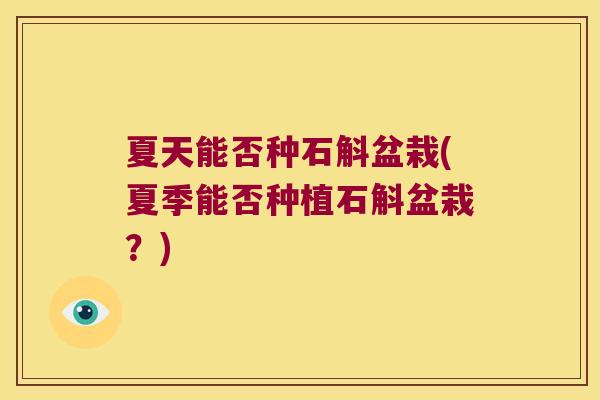 夏天能否种石斛盆栽(夏季能否种植石斛盆栽？)
