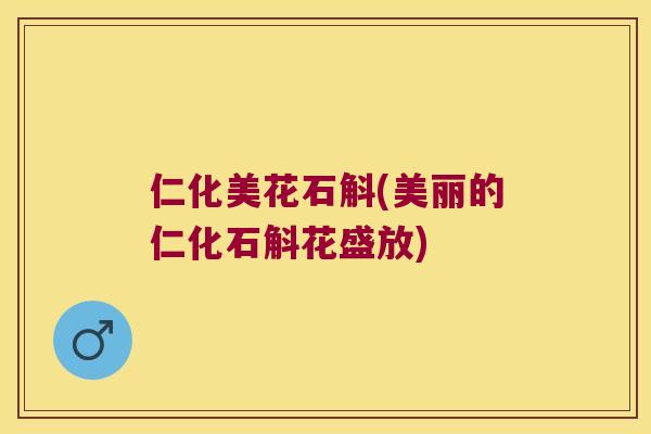 仁化美花石斛(美丽的仁化石斛花盛放)