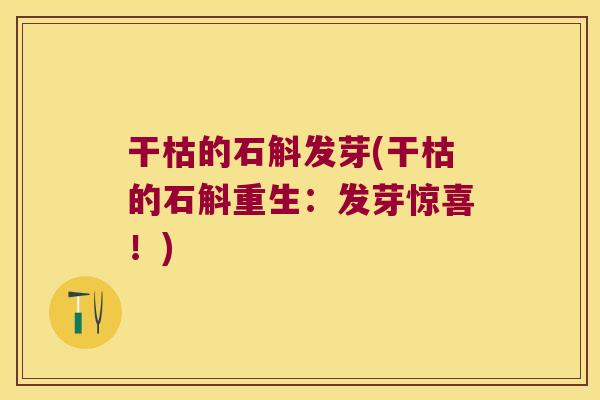 干枯的石斛发芽(干枯的石斛重生：发芽惊喜！)