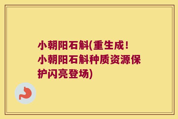 小朝阳石斛(重生成！小朝阳石斛种质资源保护闪亮登场)
