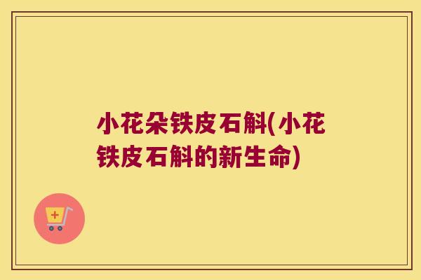 小花朵铁皮石斛(小花铁皮石斛的新生命)