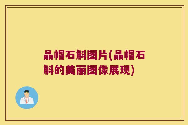 晶帽石斛图片(晶帽石斛的美丽图像展现)