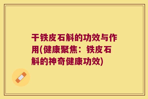 干铁皮石斛的功效与作用(健康聚焦：铁皮石斛的神奇健康功效)