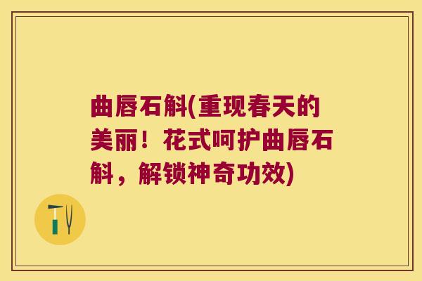曲唇石斛(重现春天的美丽！花式呵护曲唇石斛，解锁神奇功效)