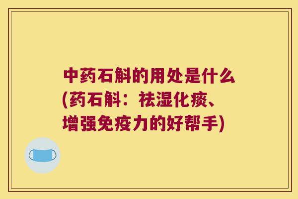 中药石斛的用处是什么(药石斛：祛湿化痰、增强免疫力的好帮手)