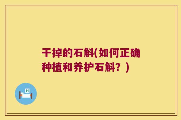 干掉的石斛(如何正确种植和养护石斛？)