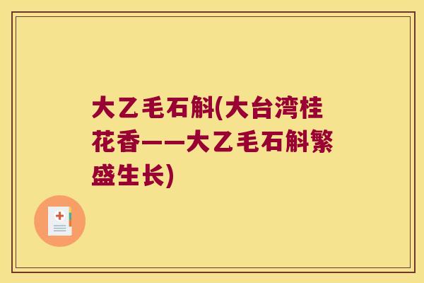 大乙毛石斛(大台湾桂花香——大乙毛石斛繁盛生长)