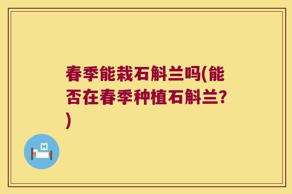 春季能栽石斛兰吗(能否在春季种植石斛兰？)