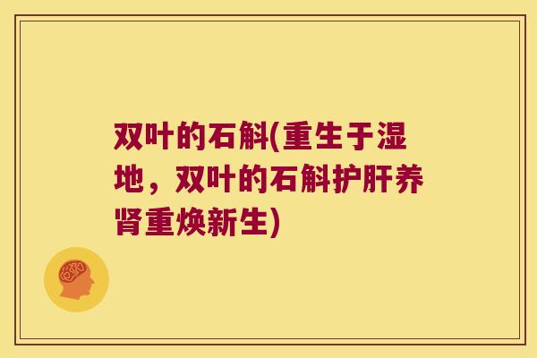 双叶的石斛(重生于湿地，双叶的石斛护肝养肾重焕新生)