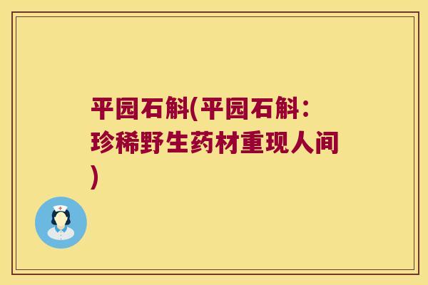 平园石斛(平园石斛:珍稀野生药材重现人间) 平园石斛(平园石斛:珍稀野生药材重现人间)