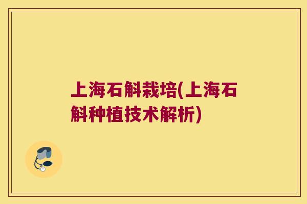 上海石斛栽培(上海石斛种植技术解析)