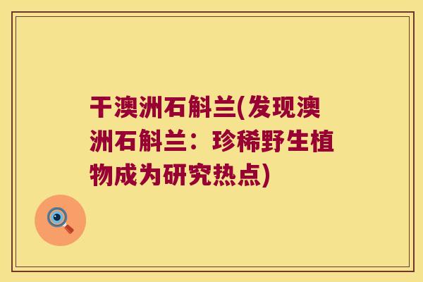 干澳洲石斛兰(发现澳洲石斛兰：珍稀野生植物成为研究热点)