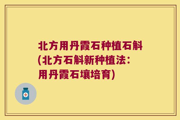 北方用丹霞石种植石斛(北方石斛新种植法：用丹霞石壤培育)