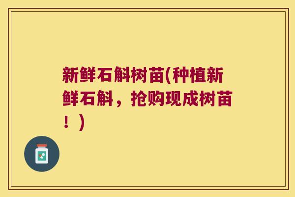 新鲜石斛树苗(种植新鲜石斛，抢购现成树苗！)