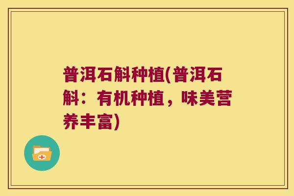 普洱石斛种植(普洱石斛：有机种植，味美营养丰富)