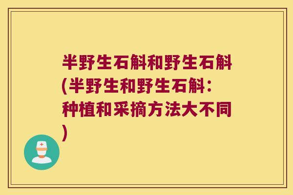 半野生石斛和野生石斛(半野生和野生石斛：种植和采摘方法大不同)