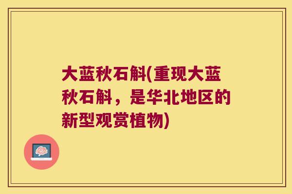 大蓝秋石斛(重现大蓝秋石斛，是华北地区的新型观赏植物)
